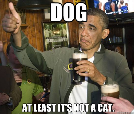 Dog at least it's not a cat.  Upvoting Obama