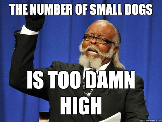 The number of small dogs  Is too damn high - The number of small dogs  Is too damn high  Too Damn High Guy