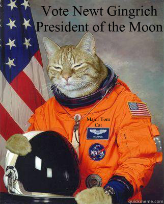 Vote Newt Gingrich
President of the Moon Major Tom Cat - Vote Newt Gingrich
President of the Moon Major Tom Cat  Astronaut cat