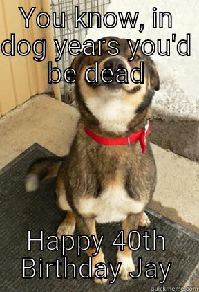 YOU KNOW, IN DOG YEARS YOU'D BE DEAD HAPPY 40TH BIRTHDAY JAY Good Dog Greg