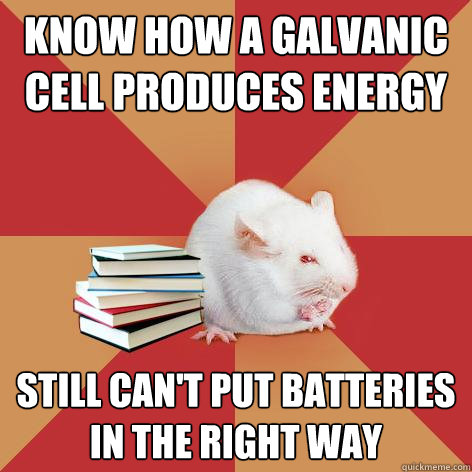 Know how a galvanic cell produces energy still can't put batteries in the right way - Know how a galvanic cell produces energy still can't put batteries in the right way  Science Major Mouse