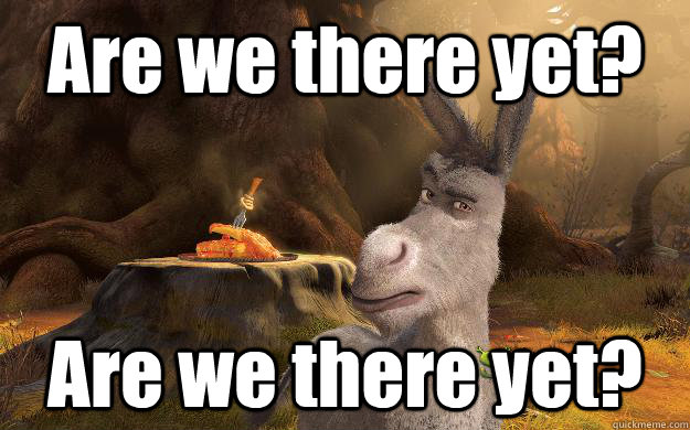 Are we there yet? Are we there yet?  Serious Donkey