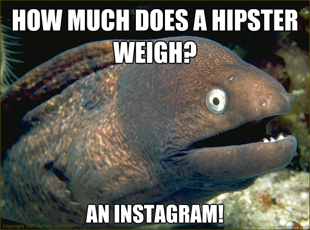 How much does a hipster weigh? An instagram!  Bad Joke Eel