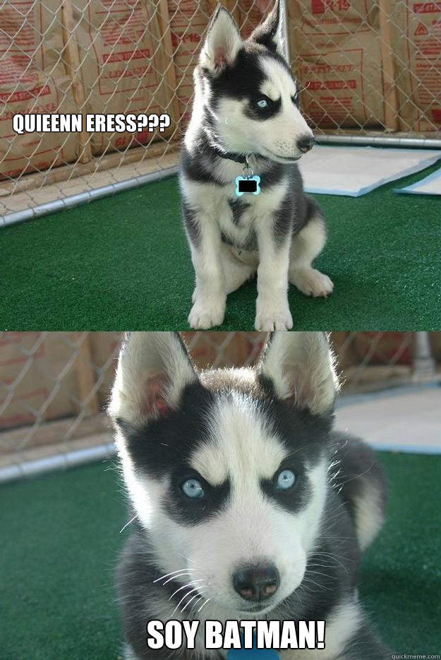 quieenn eress??? SOY BATMAN!  Insanity puppy