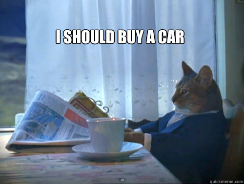  I should buy a car -  I should buy a car  The One Percent Cat