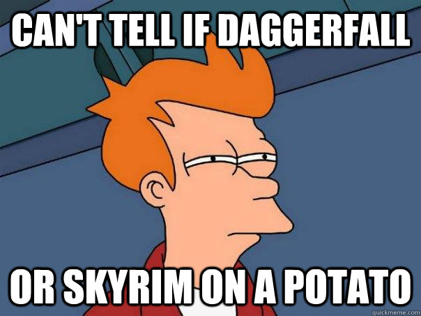 Can't tell if Daggerfall or Skyrim on a potato  Futurama Fry