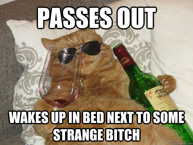 Passes out Wakes up in bed next to some strange bitch  Party Cat