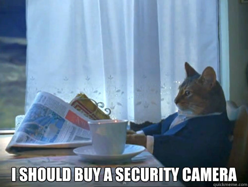  I should buy a security camera -  I should buy a security camera  The One Percent Cat
