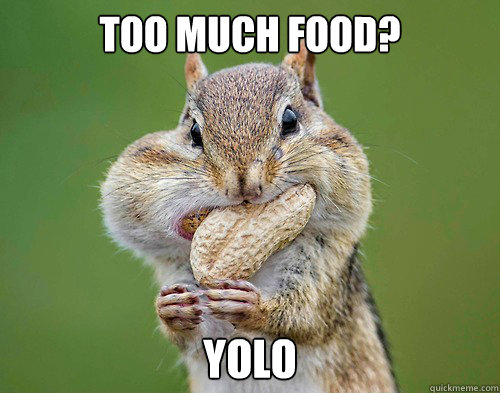 Too much food? YOLO - Too much food? YOLO  Squirrel YOLO
