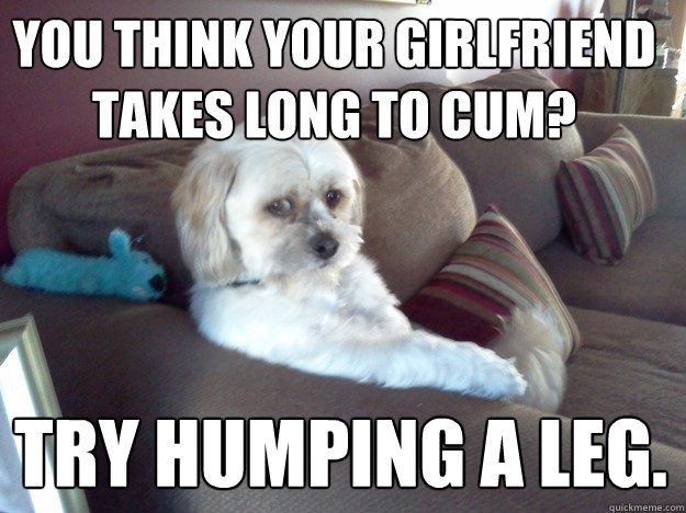You think your girlfriend takes long to cum? try humping a leg. - You think your girlfriend takes long to cum? try humping a leg.  Disappointed Doggy