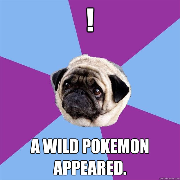 ! a wild pokemon appeared. - ! a wild pokemon appeared.  Lonely Pug