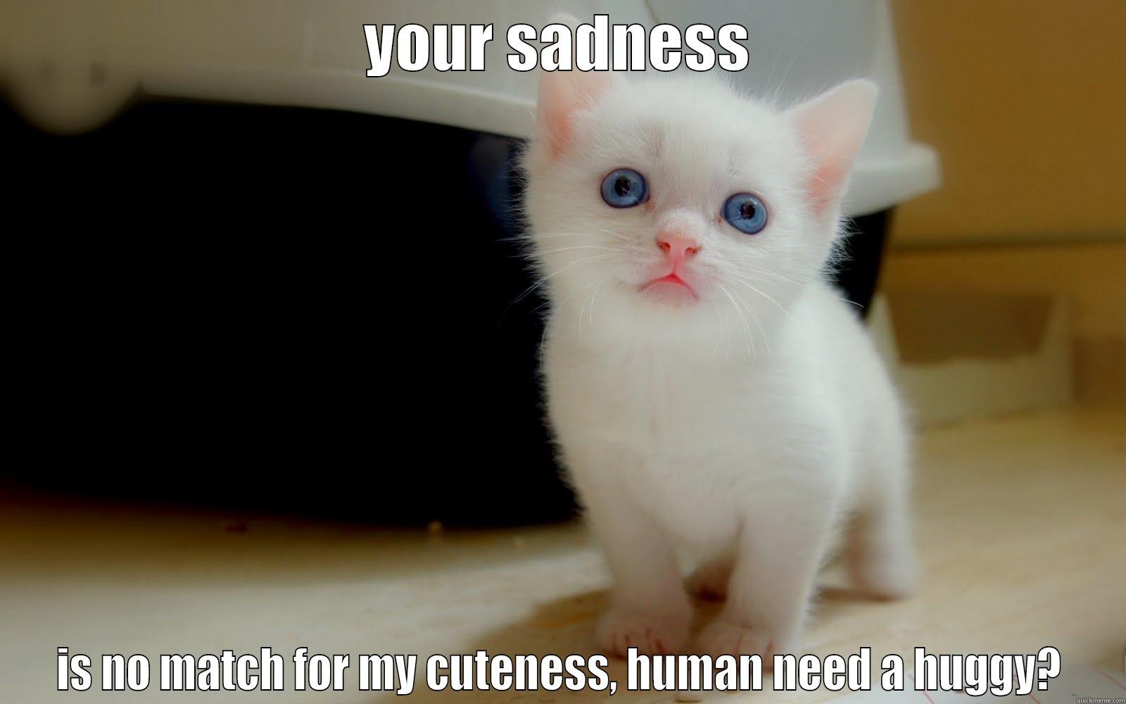 YOUR SADNESS IS NO MATCH FOR MY CUTENESS, HUMAN NEED A HUGGY? Misc