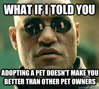 What if I told you Adopting a pet doesn't make you better than other pet owners  Matrix Morpheus