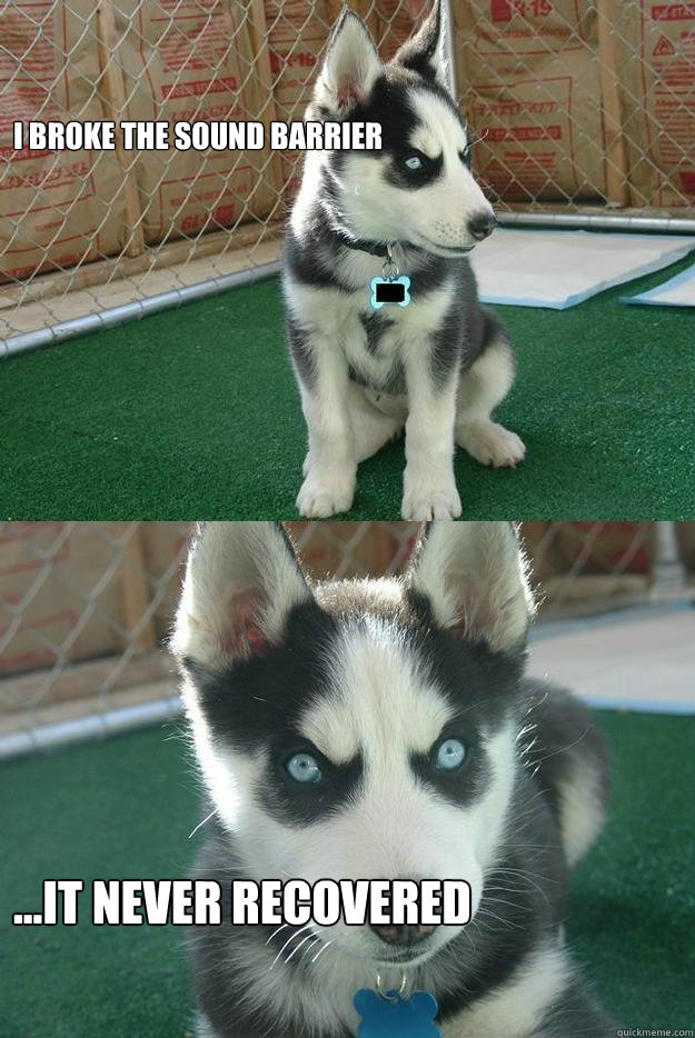 I broke the sound barrier ...it never recovered  Insanity puppy