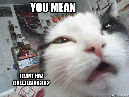 you mean i cant haz cheezeburger? - you mean i cant haz cheezeburger?  Misc