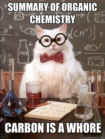 summary of Organic Chemistry carbon is a whore  Chemistry Cat