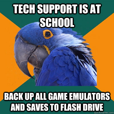 tech support is at school back up all game emulators and saves to flash drive  Paranoid Parrot