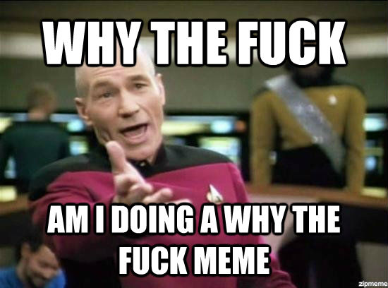 WHY THE FUCK AM I DOING A WHY THE FUCK MEME  Annoyed Picard HD