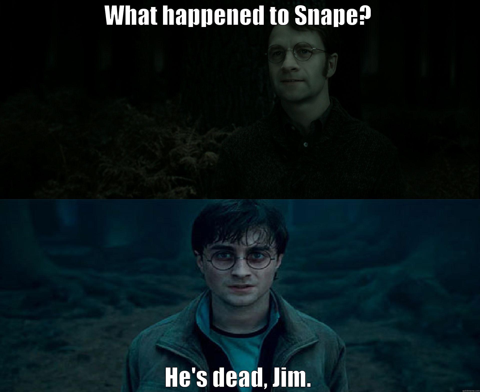 WHAT HAPPENED TO SNAPE? HE'S DEAD, JIM. Misc