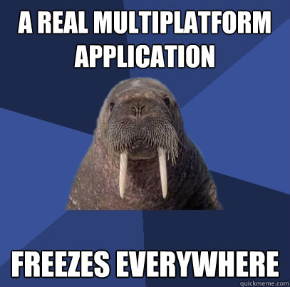 a real multiplatform application freezes everywhere  Web Developer Walrus