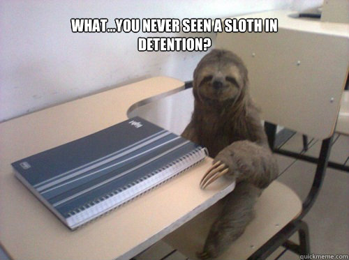 What...you never seen a sloth in detention?  