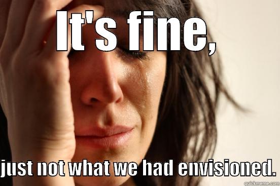 IT'S FINE,  JUST NOT WHAT WE HAD ENVISIONED. First World Problems
