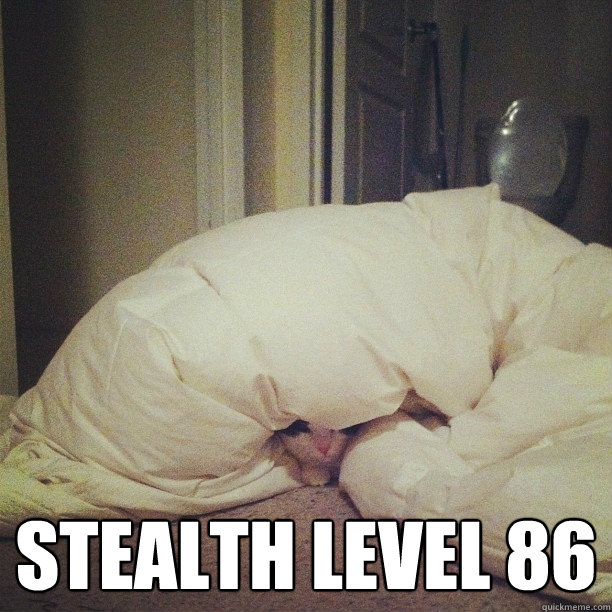  stealth level 86 -  stealth level 86  stealth cat