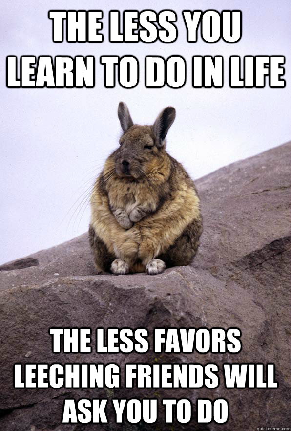 The less you learn to do in life the less favors leeching friends will ask you to do - The less you learn to do in life the less favors leeching friends will ask you to do  Wise Wondering Viscacha