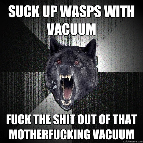 Suck up wasps with vacuum fuck the shit out of that motherfucking vacuum - Suck up wasps with vacuum fuck the shit out of that motherfucking vacuum  Insanity Wolf
