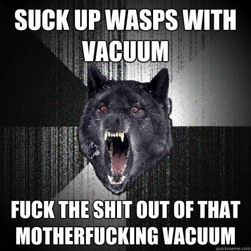 Suck up wasps with vacuum fuck the shit out of that motherfucking vacuum  Insanity Wolf