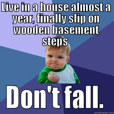 LIVE IN A HOUSE ALMOST A YEAR, FINALLY SLIP ON WOODEN BASEMENT STEPS  DON'T FALL. Success Kid