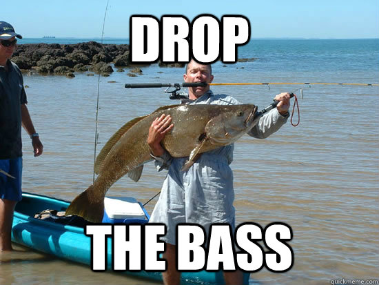 Drop The bass  