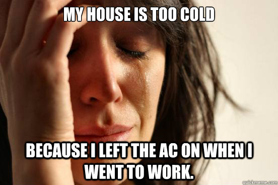 My house is too cold because i left the ac on when i went to work.  First World Problems