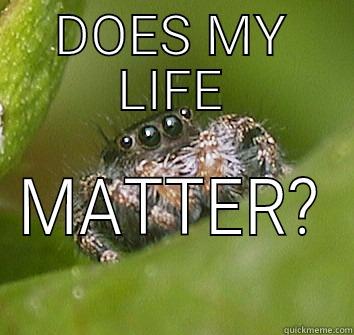 All lives matter - DOES MY LIFE MATTER? Misunderstood Spider