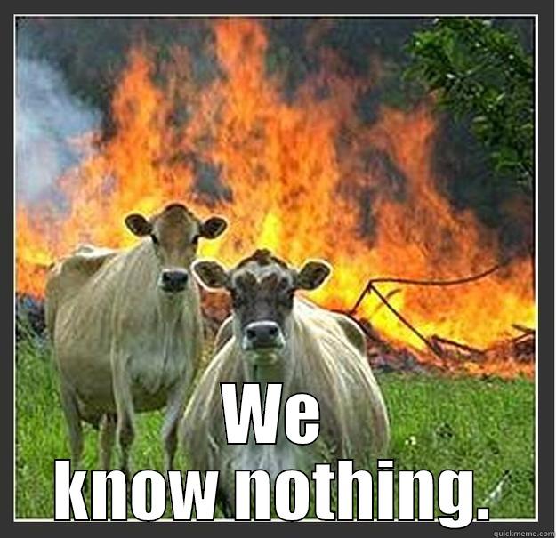 We know nothing! -  WE KNOW NOTHING. Evil cows