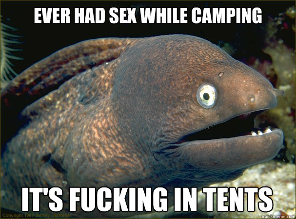 ever had sex while camping it's fucking in tents   Bad Joke Eel