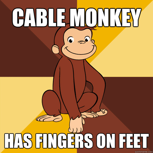 Cable Monkey Has fingers on feet  Curious George