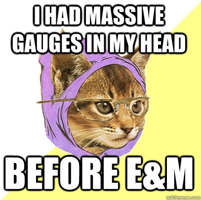 I had massive gauges in my head before e&m  Hipster Kitty