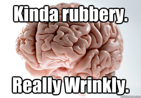 Kinda rubbery. Really Wrinkly.   Scumbag Brain