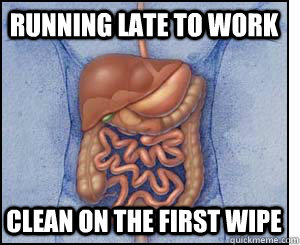 Running late to work Clean on the first wipe - Running late to work Clean on the first wipe  Good Guy Intestines