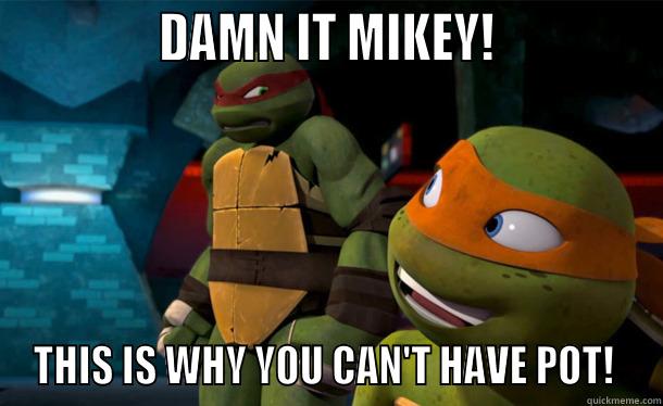              DAMN IT MIKEY!              THIS IS WHY YOU CAN'T HAVE POT!  Misc