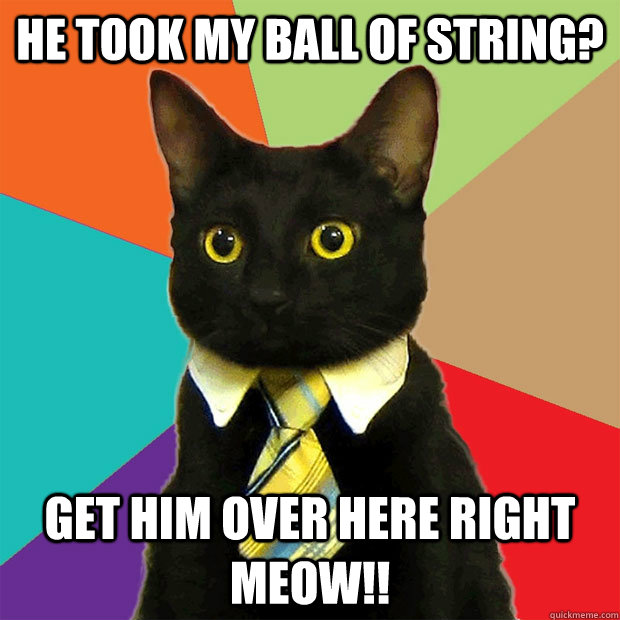 he took my ball of string? get him over here right meow!!  Business Cat