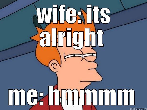  WIFE: ITS ALRIGHT ME: HMMMM Futurama Fry