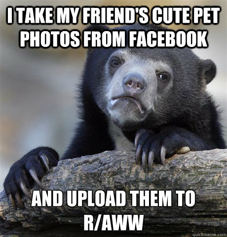 I take my friend's cute pet photos from facebook and upload them to r/aww  Confession Bear