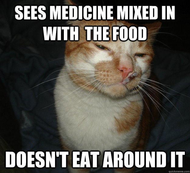 sees medicine mixed in with  the food doesn't eat around it  Cool Cat Craig