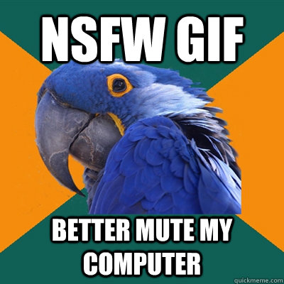 nsfw gif better mute my computer  Paranoid Parrot