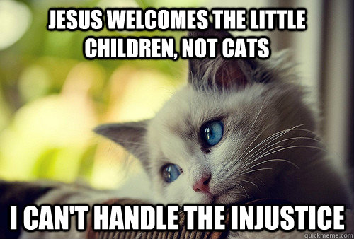 Jesus welcomes the little children, not cats I can't handle the injustice  First World Problems Cat