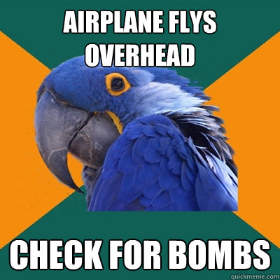 Airplane flys overhead Check for bombs  Paranoid Parrot