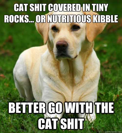 Cat shit covered in tiny rocks... or nutritious kibble  Better go with the cat shit  Dog Logic