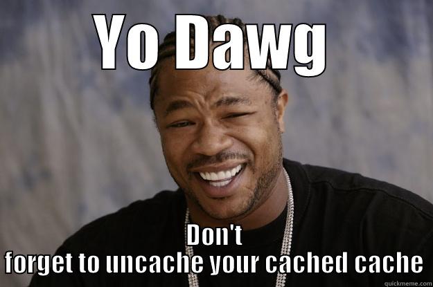 Cache cache - YO DAWG DON'T FORGET TO UNCACHE YOUR CACHED CACHE Xzibit meme
